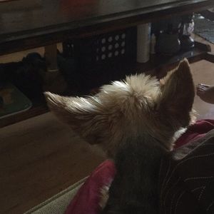 Meet your Posher, Jillian